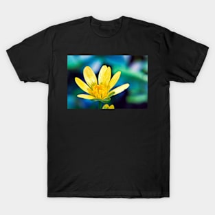 Celandine Flower T-Shirt